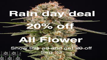 Sticky Fingerz RainDay 20% off bud