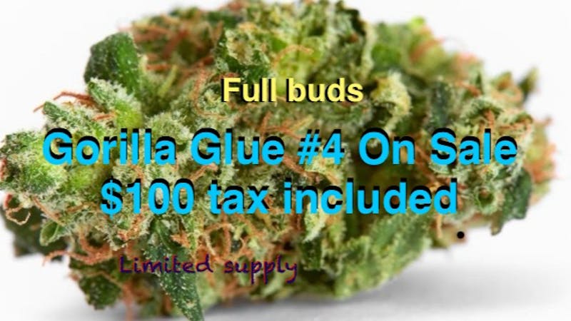 Sticky Fingerz Gorilla Glue #4 Oz 100$