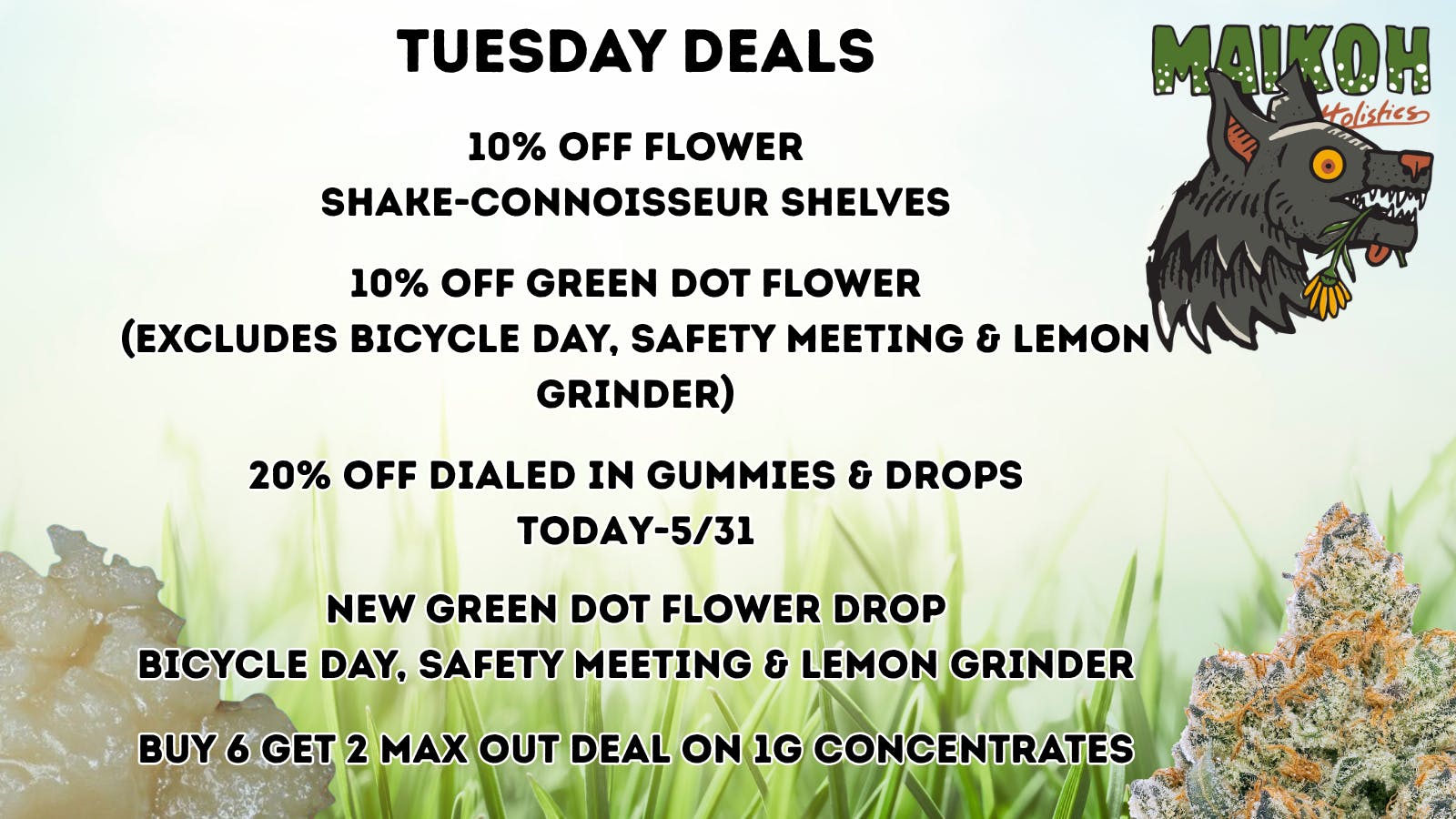 Maikoh Holistics - Boulder 10% Off Flower Shake-Connoisseur Shelves