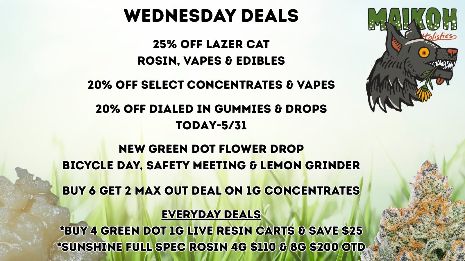 Maikoh Holistics - Boulder 25% Off ALL LazerCat & 20% Off Dialed In Gummies