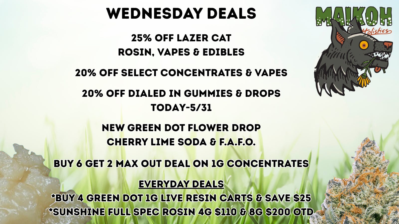 Maikoh Holistics - Boulder 25% Off ALL LazerCat & 20% Off Dialed In Gummies