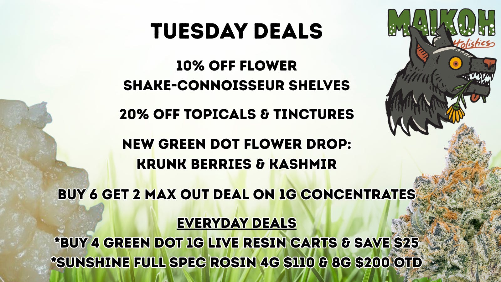 Maikoh Holistics - Denver 10% Off Flower Shake-Connoisseur Shelves