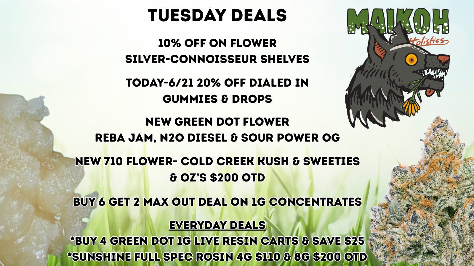 Maikoh Holistics - Denver 10% Off Flower Silver-Connoisseur Shelves