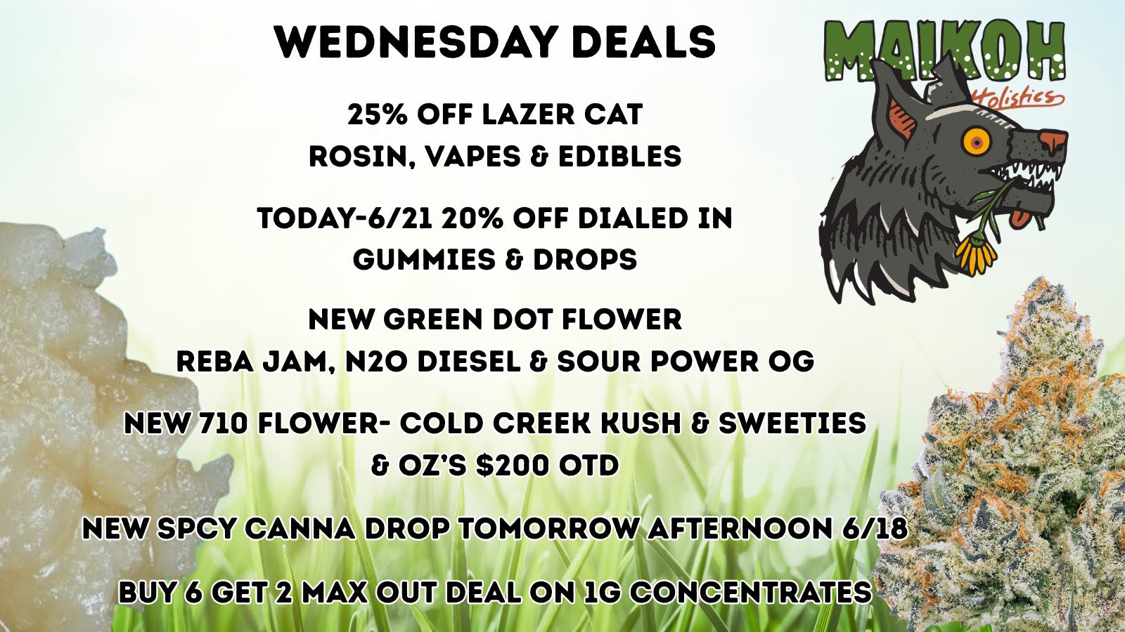 Maikoh Holistics - Boulder 25% Off ALL LazerCat & 20% Off Dialed In Gummies