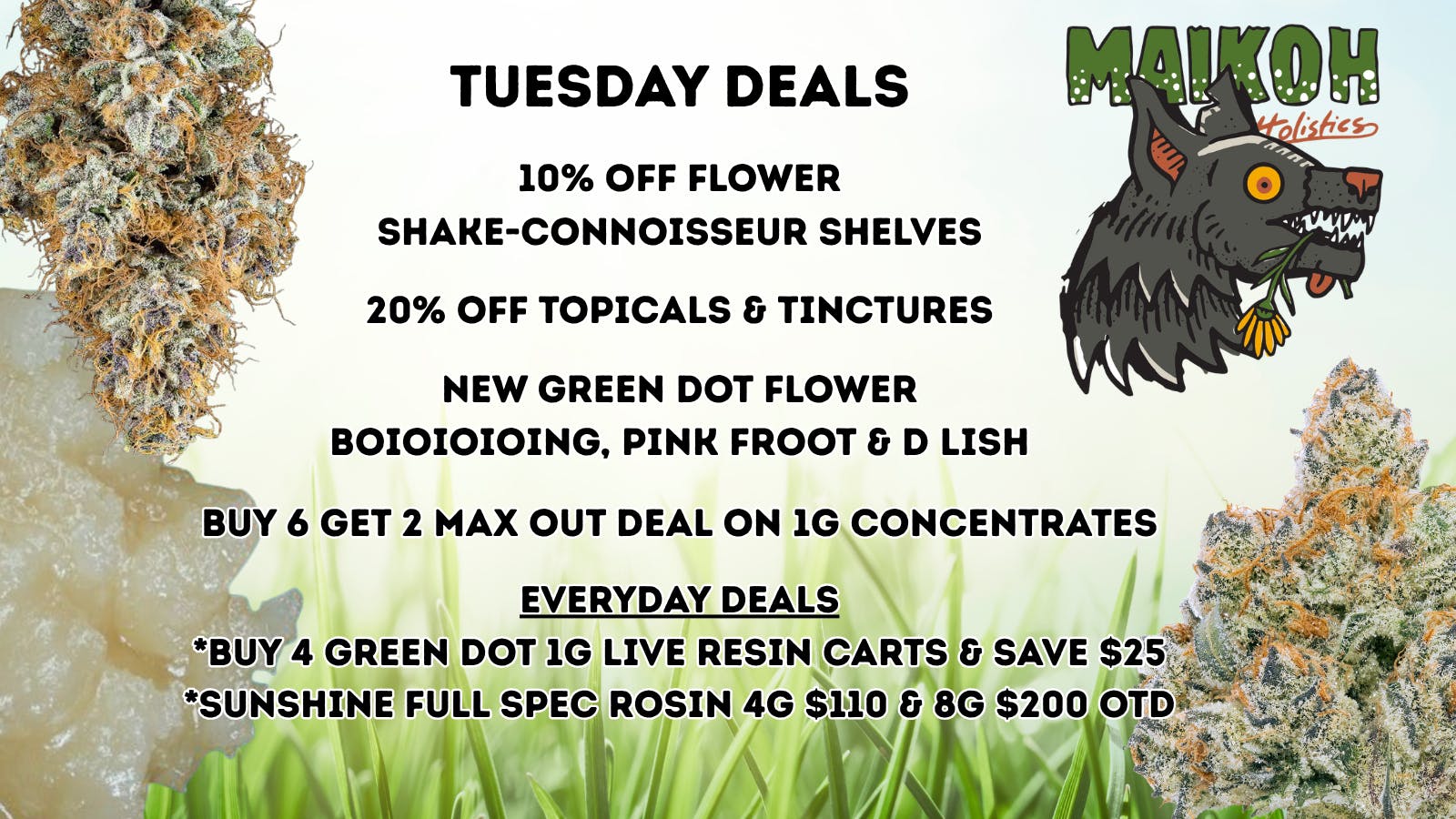 Maikoh Holistics - Boulder 10% Off Flower Shake-Connoisseur Shelves