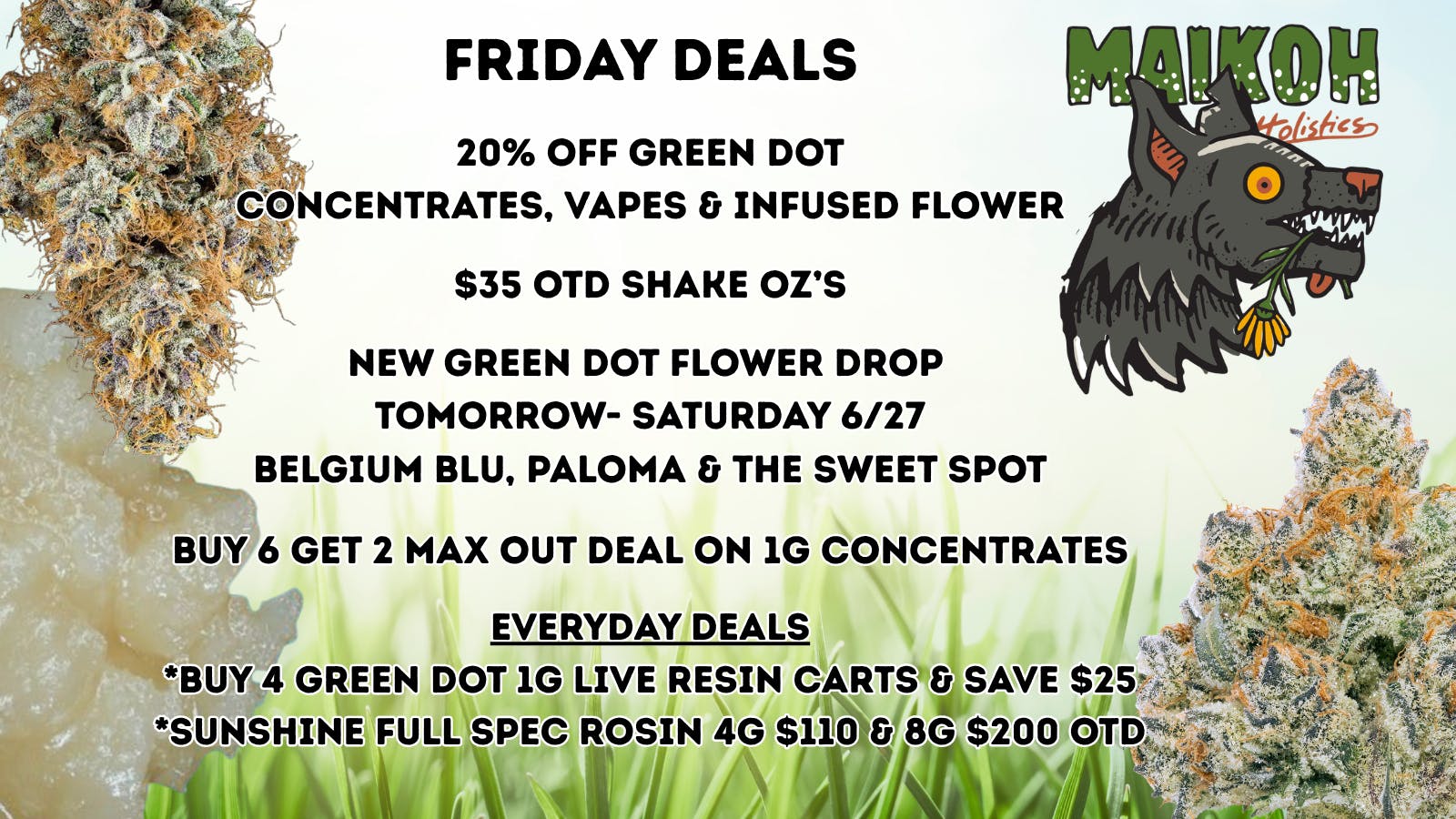 Maikoh Holistics - Boulder 20% Off Green Dot Concentrates, Vapes & Infused