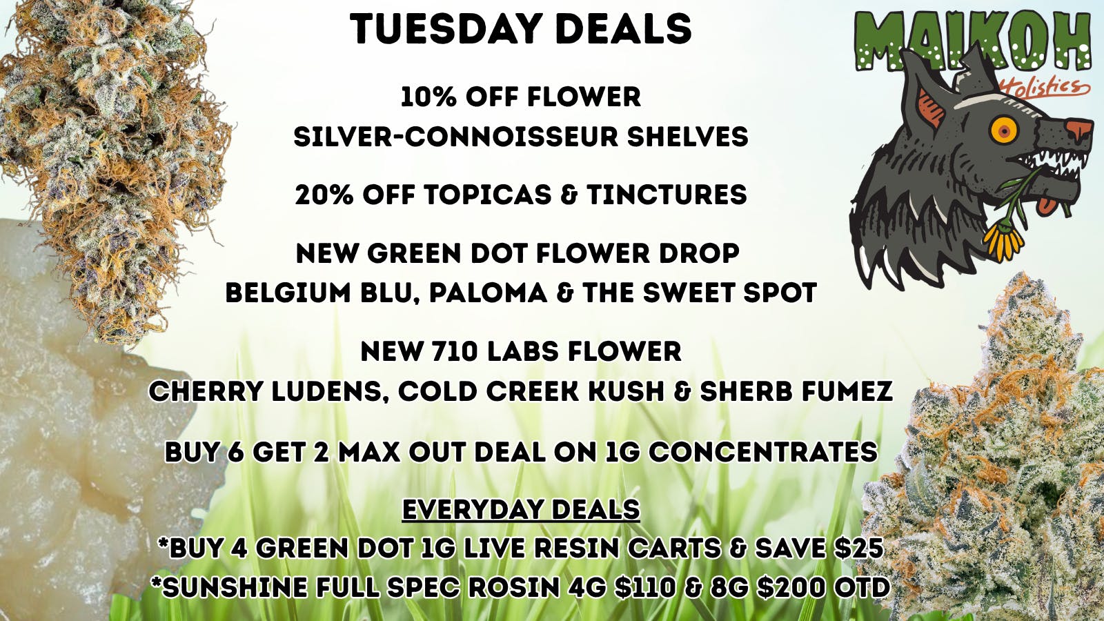 Maikoh Holistics - Denver 10% Off Flower Silver-Connoisseur Shelves