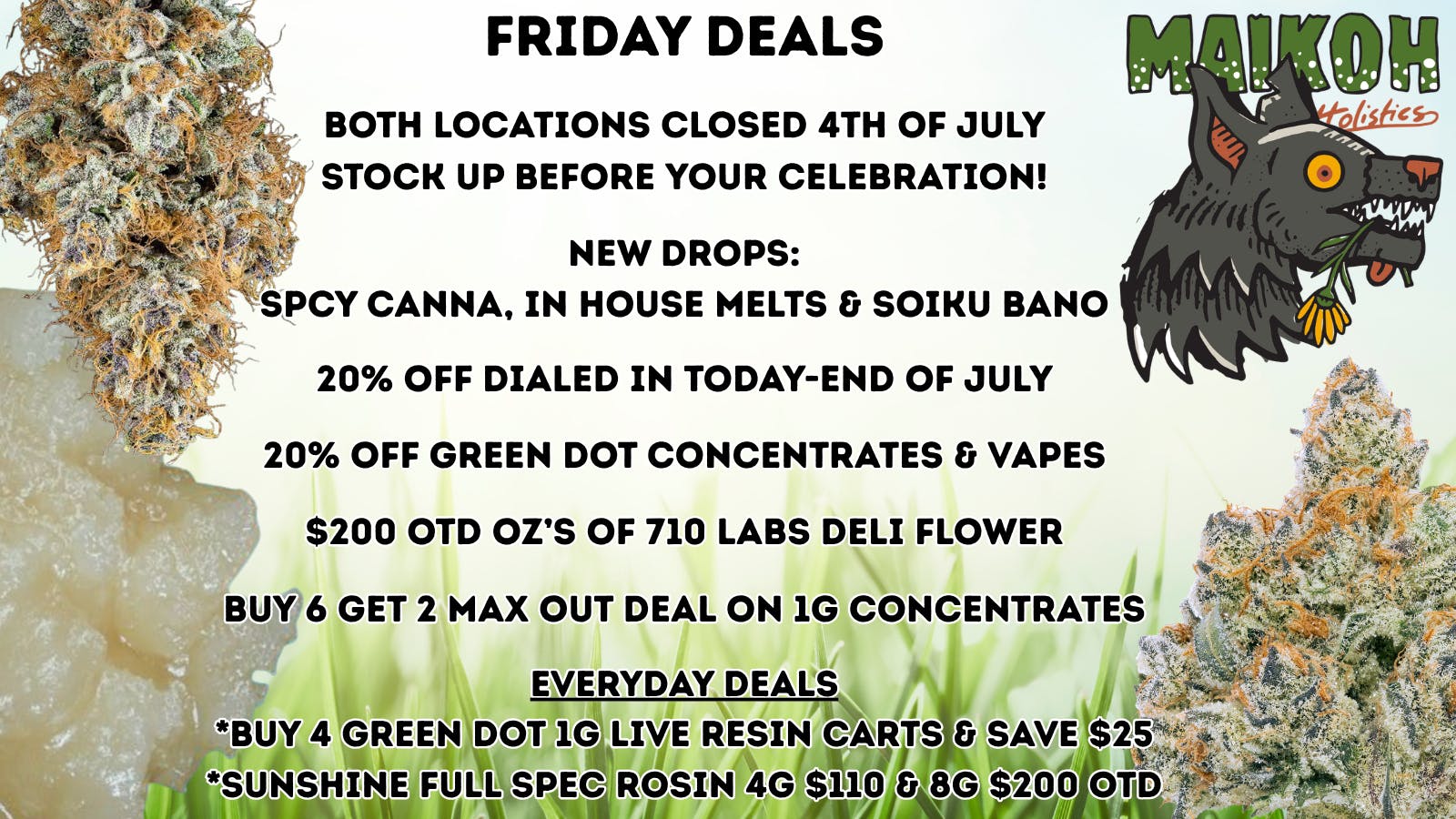 Maikoh Holistics - Denver 20% Off Green Dot Concentrates & Dialed In