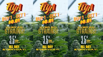 Cana Harbor Powered by Green Earth Pharmacy Inc Fiya Buy One Get One