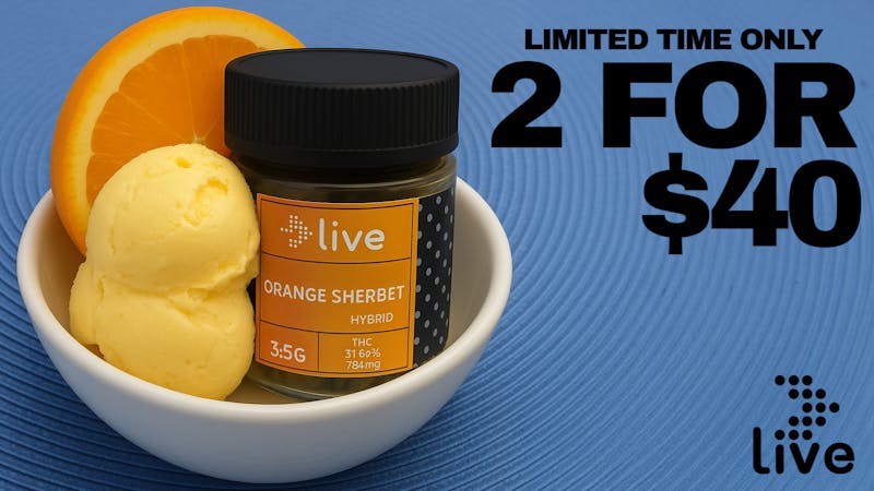 Buffalo Dreams 🍊 Live Orange Sherbet – 2 for $40!
