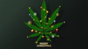 Fighting Flower EVERYDAY GOOD PRICES, COME SEE US!