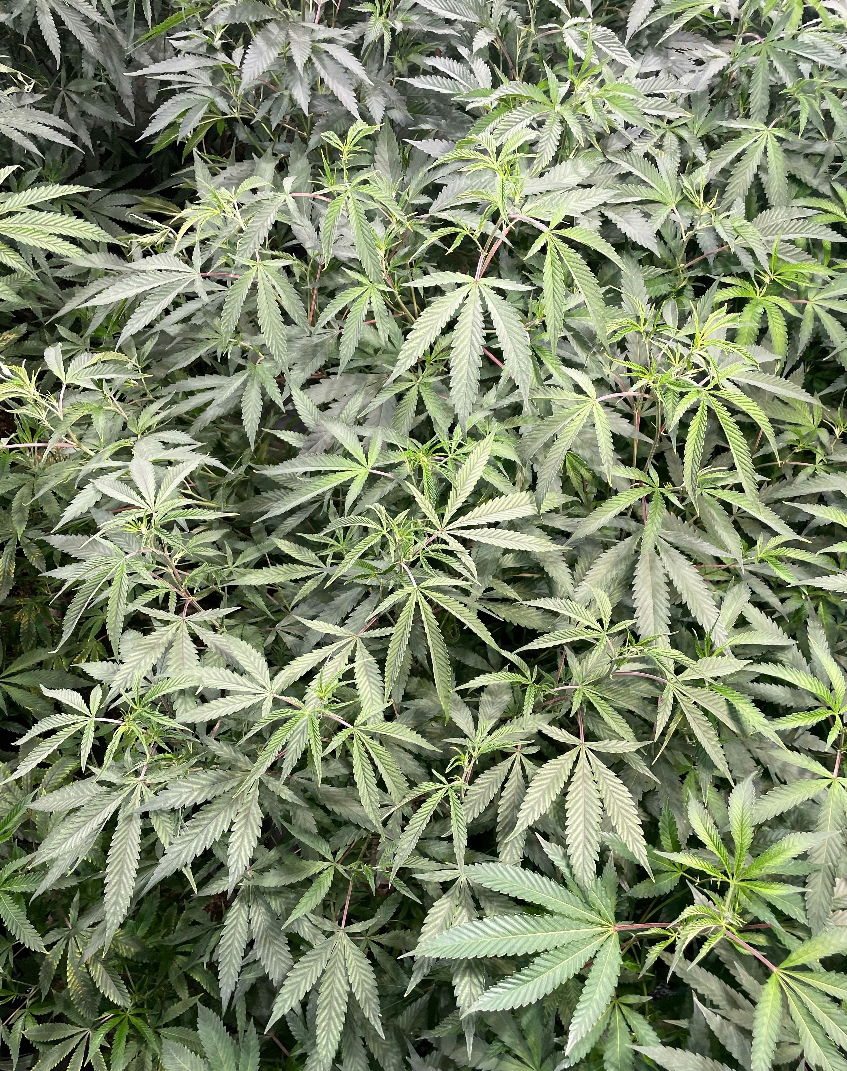 Northeast Alliance - Delivery Listing - Photo 3