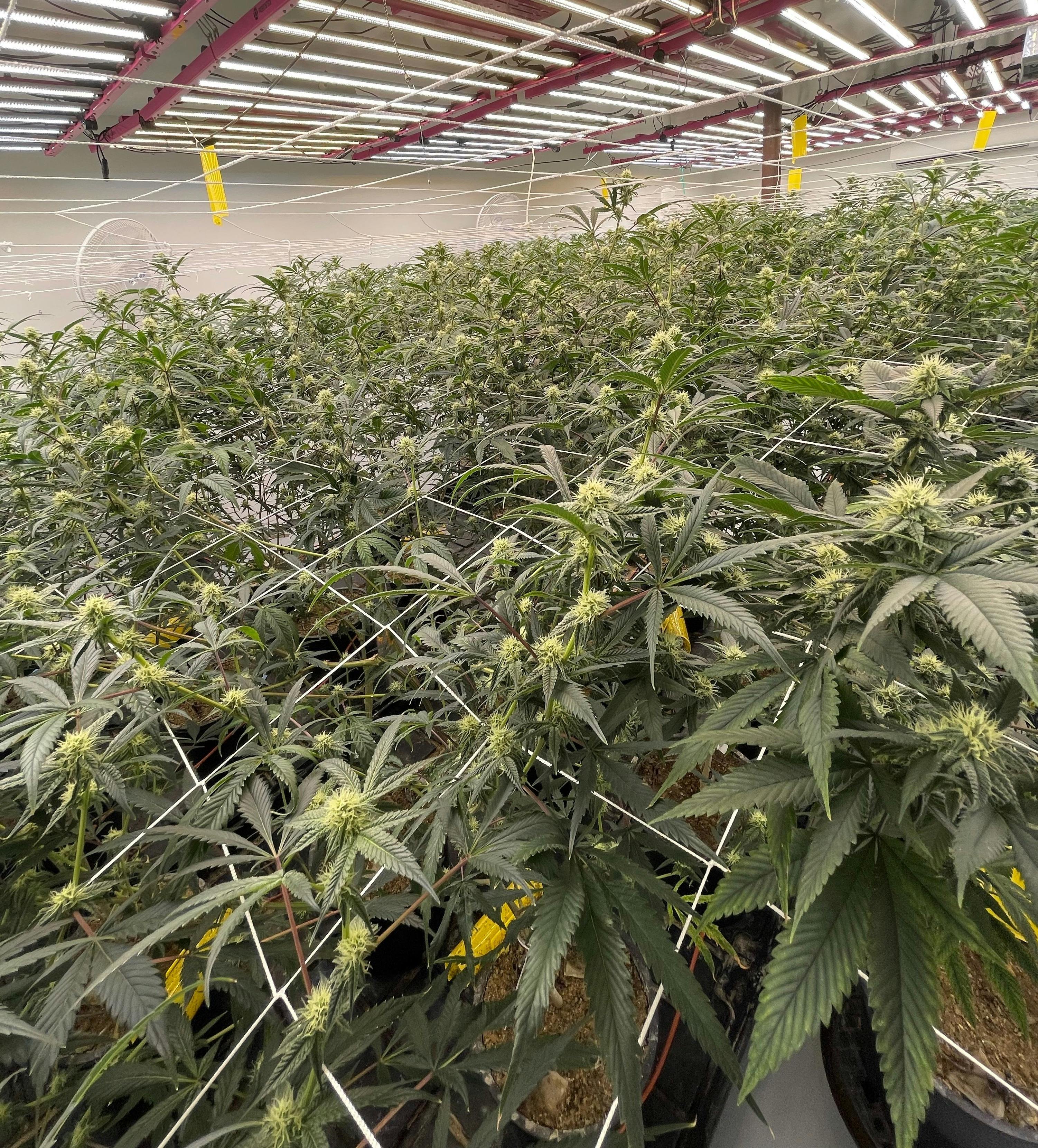 Northeast Alliance - Delivery Listing - Photo 1