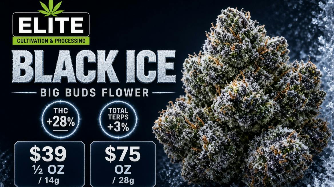 Stillwater Dispensary ❄️ BLACK ICE by Elite Cultivation — Big Frosty