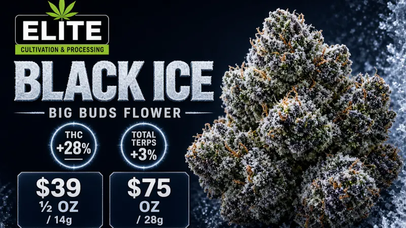 Stillwater Dispensary ❄️ BLACK ICE by Elite Cultivation — Big Frosty
