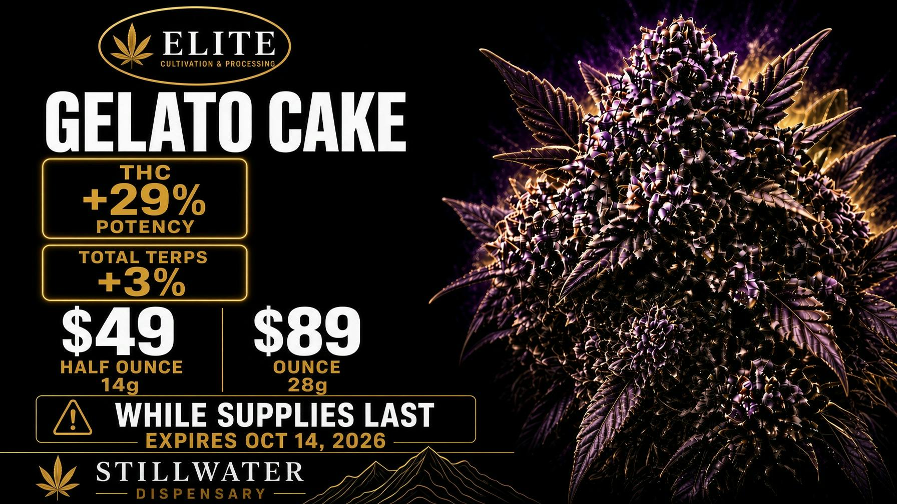 Stillwater Dispensary ⚡⚡GELATO CAKE by Elite Cultivation BIG NUGZ