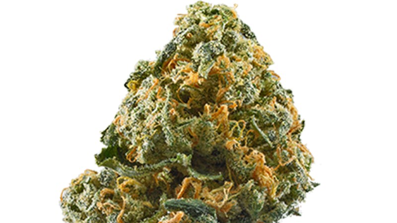 Bobby Brown Best Buds RECREATIONAL OZ FOR ONLY $55!