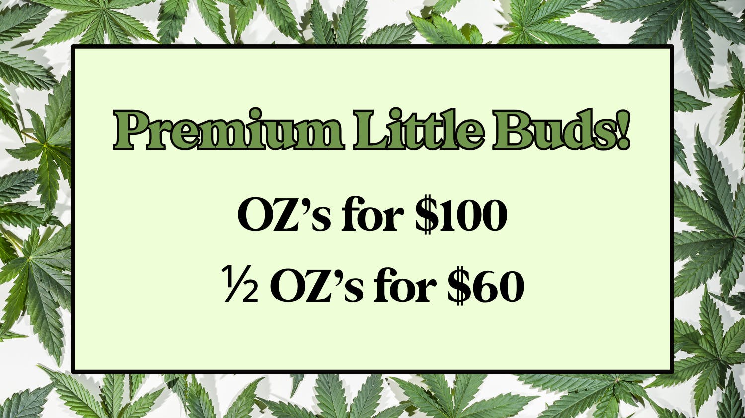 Shannon's Best Buds Pre-Packed Little Buds are Back!