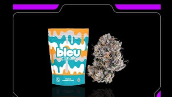 Bleu Diamond 🔥 Ounce House 🔥 50% OFF NOW Only $74.99