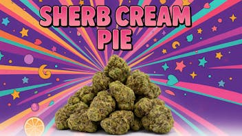 Bleu Diamond Sherb Cream Pie X Smalls