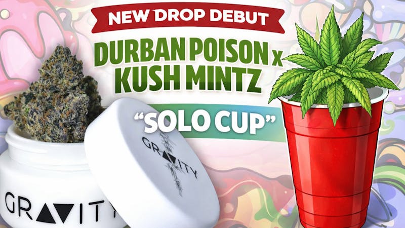 Bleu Diamond 🔥 END-OF-THE-YEAR DEAL 🔥 GRAVITY DEBUT — “SOLO