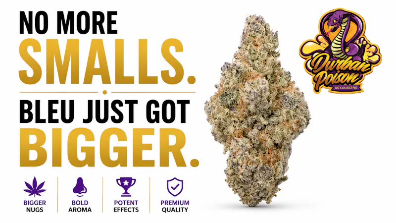 Bleu Diamond 50% Off Medium Nugs NOw $37.72