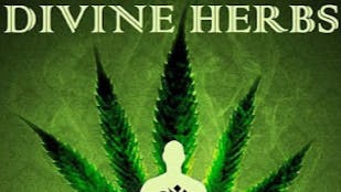 Divine Herbs Cannabis Clinic ❄️🎄HOLIDAY SEASON SHELF STRAINS $85oz OTD🎄❄️