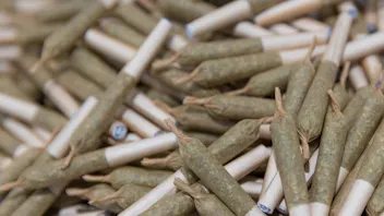 Elevate Dispensary Get 28g preroll pack for $20!!