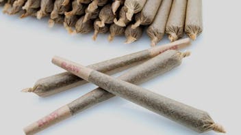 Elevate Dispensary Smoke Shop - Bethany Now Open 🔥🚒28 prerolls pack $20 OTD