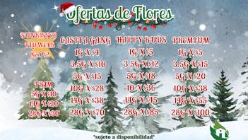 Casita Verde Healing Center Christmas Offers