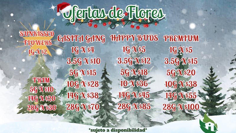 Casita Verde Healing Center Christmas Offers