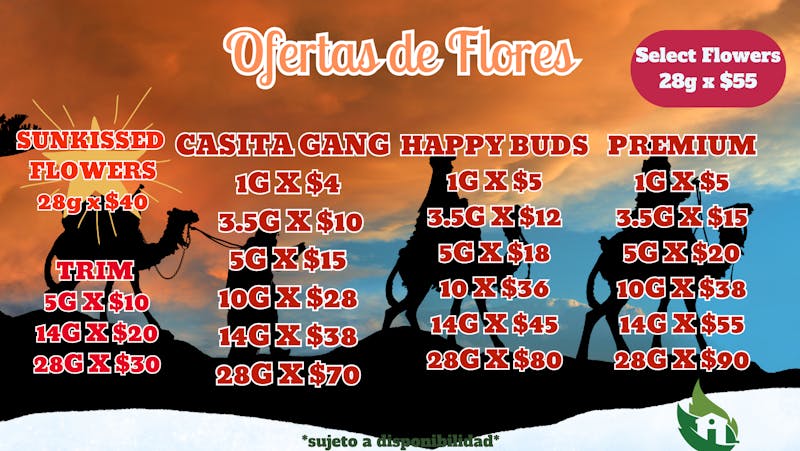 Casita Verde Healing Center Los Reyes del Pasto