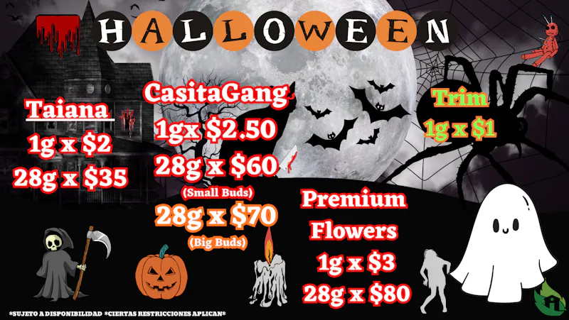 Casita Verde Healing Center SPOOKY SEASON ARRIVING
