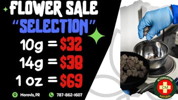 Alternativa Natural 💨$69 Flower Pick 🌱