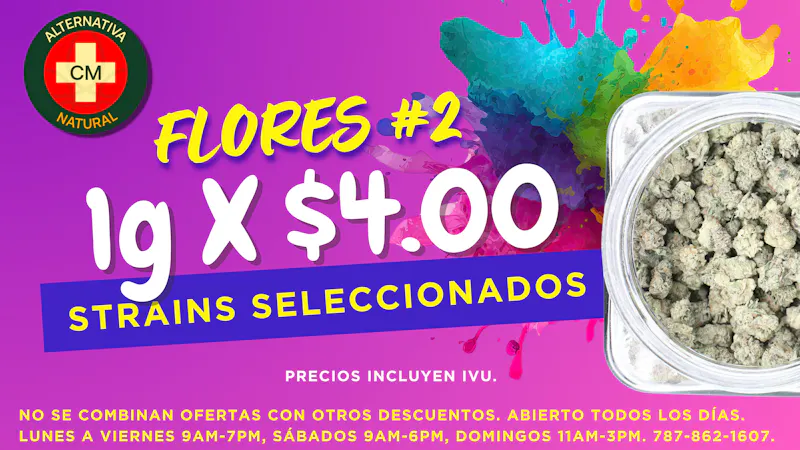 Alternativa Natural Flores a Precios de Locura 😮‍💨