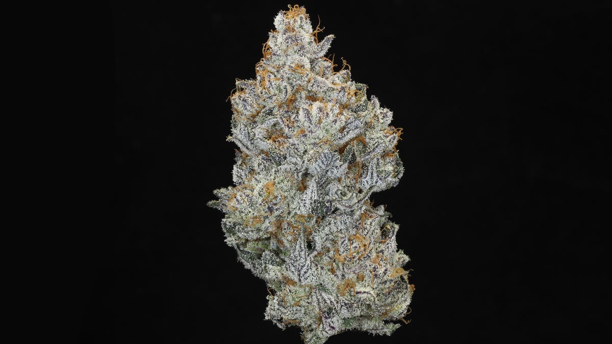 Cloudberry Cannabis 10% OFF ALL INDICA FLOWER!