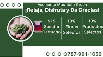 Asomante Mountain Green ¡AGRADECE Y AHORRA!