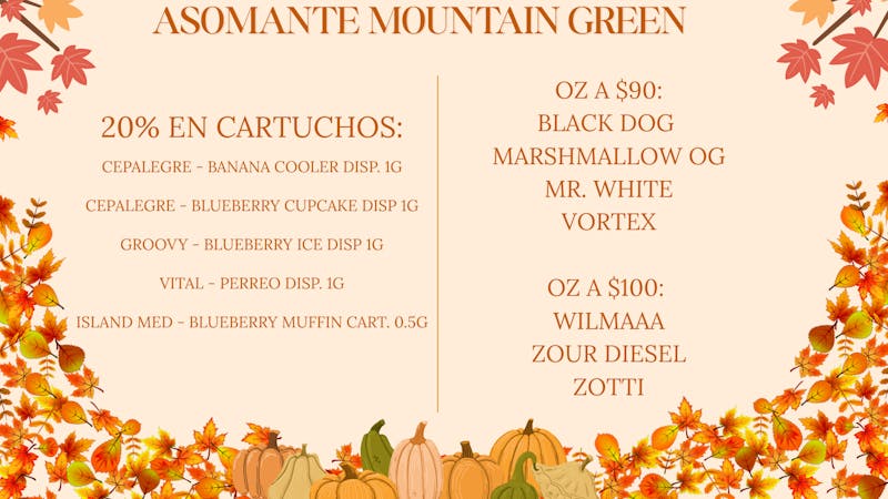 Asomante Mountain Green ¡EDICION DE GRATITUD: OFERTA EXCLUSIVAS!