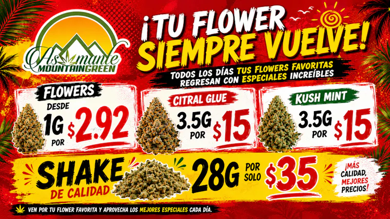 Asomante Mountain Green 🔥 ¡LAS OFERTAS MÁS CALIENTES DEL VERANO!