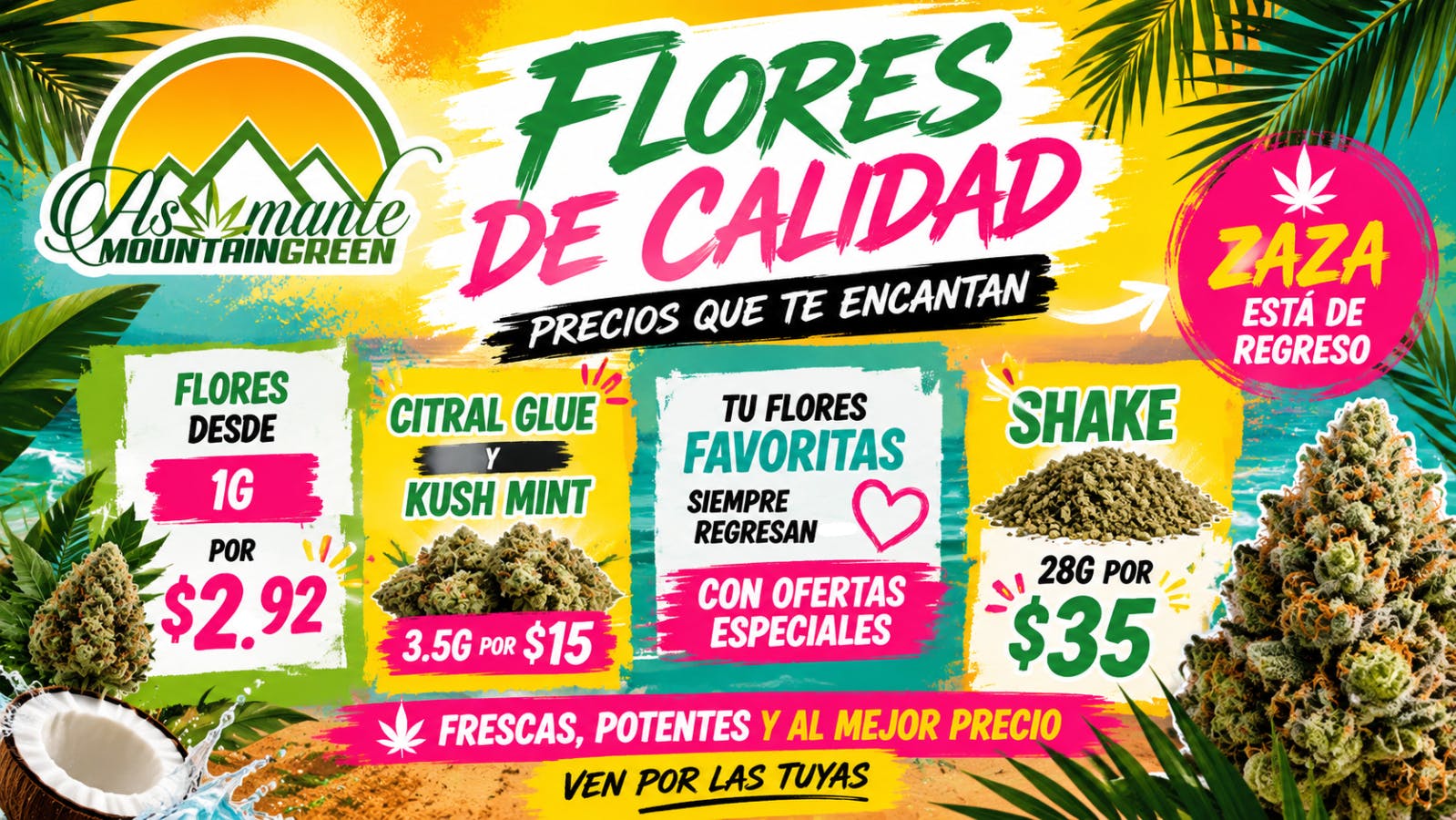 Asomante Mountain Green 🔥 ¡LAS OFERTAS MÁS CALIENTES DEL VERANO!
