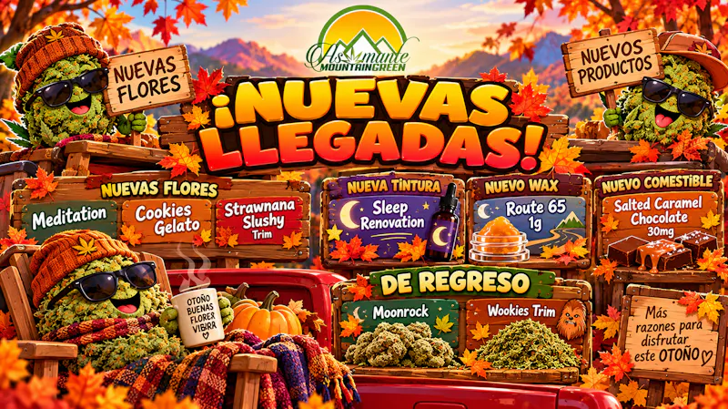 Asomante Mountain Green 🍁¡LO NUEVO LLEGÓ… Y ALGUNOS FAVORITOS VOLVIERON!