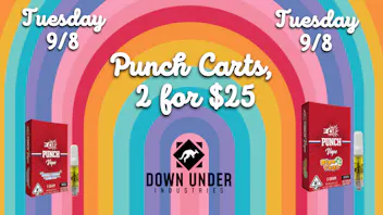 Down Under Industries Dispensary Punch extracts Carts 2 for $25