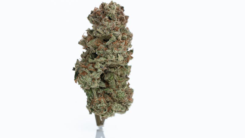 Vetted Cannabis Terrific Tuesday