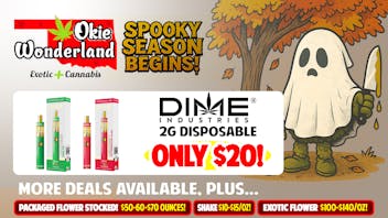 Okie Wonderland OKC/The Village 🔥 DIME 2G DISPOSABLE $20! 🔥