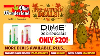 Okie Wonderland OKC/The Village 🔥 DIME 2G DISPOSABLE $20! 🔥