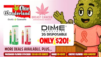 OKIE WONDERLAND JENKS: NOW OPEN! 🔥 DIME 2G DISPOSABLE $20! 🔥