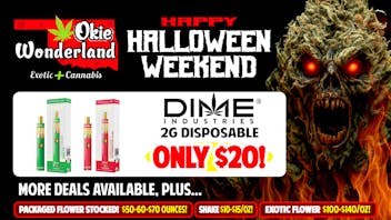 OKIE WONDERLAND JENKS: NOW OPEN! 🔥 DIME 2G DISPOSABLE $20! 🔥
