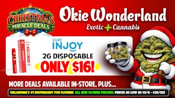 Elite Mustang by Okie Wonderland - NOW OPEN! 🔥🌲INJOY 2G DISPOSABLE ONLY $16! ALL FLAVORS 🌲🔥