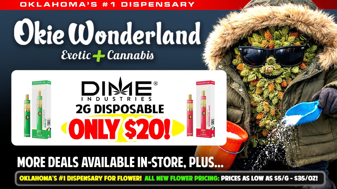 OKIE WONDERLAND JENKS: NOW OPEN! 🔥🔥DIME 2G DISPOSABLE ONLY $20!🔥ALL FLAVORS🔥🔥