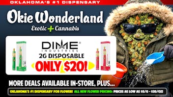 OKIE WONDERLAND JENKS: NOW OPEN! 🔥🔥DIME 2G DISPOSABLE ONLY $20!🔥ALL FLAVORS🔥🔥